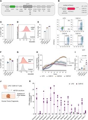 CAR T cells targeting the ganglioside NGcGM3 control ovarian tumors in the absence of toxicity against healthy tissues